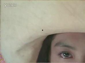 长谷川  在线视频,探索日本文化精髓的视觉之旅